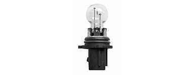Bulb socket type