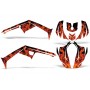 Graphics Kit Canam DS 250 Atv Quad Stickers Drape Can-Am Accessories DS250