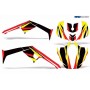Graphisme Kit Canam DS 250 Atv Quad Stickers Drapé Can-Am Accessoires DS250