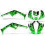 Graphics Kit Canam DS 250 Atv Quad Stickers Drape Can-Am Accessories DS250
