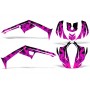 Graphics Kit Canam DS 250 Atv Quad Stickers Drape Can-Am Accessories DS250