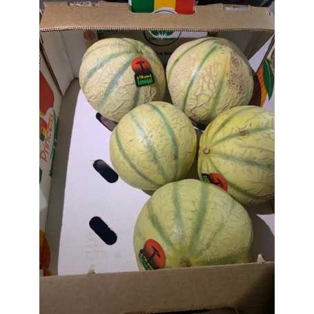 MELON