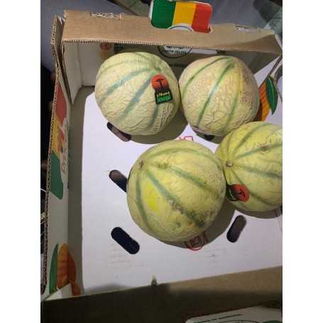 MELON