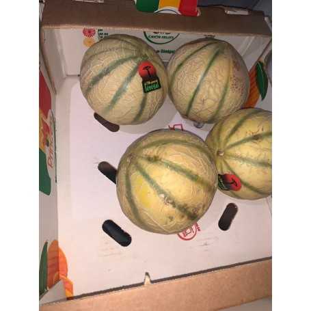 MELON
