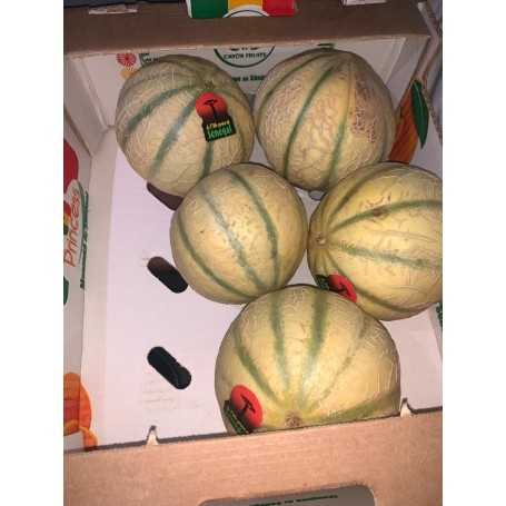MELON