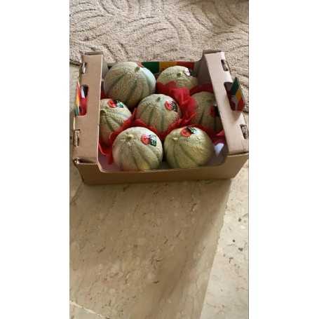 MELON
