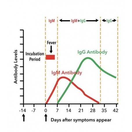 SARS-CoV-2 (Covid-19): Diagnosis by IgG/IgM Rapid Test