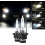 WinPower D2S 35W Xenon Ampoules Phare Lampe HID Kit 12V - Ampoule 8000K Blue Xtreme Vision