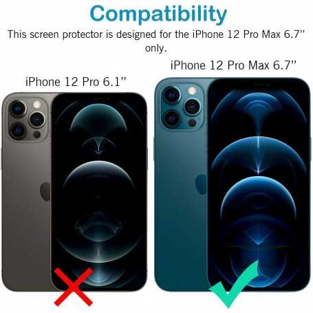 iPhone 12 Pro Max 6.7 Inch Rear Camera Protector