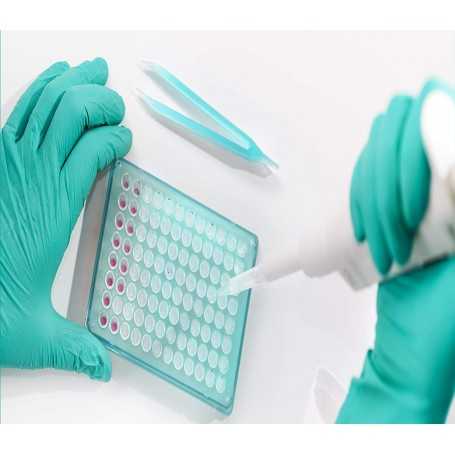 Nitras Lot de 100 Gants Nitrile Jetables non Poudrés - sans Latex - Aloe Vera - Coiffure Tatouage Alimentaire Laboratoire - Vert