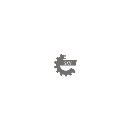 Bouton de lève-vitre avant passager ESEN SKV 37SKV304 – VW Golf 7, Golf 7 Variant, Golf Sportsvan