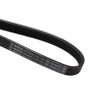 BOSCH 1 987 946 051 Courroie Poly-V 1030mm, 6