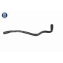 Vaico V10-0076 Q+cooling hose, first ride