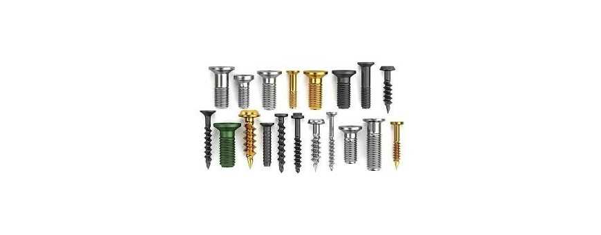 Screw for modeling