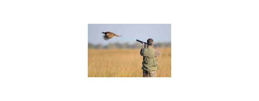 Hunting