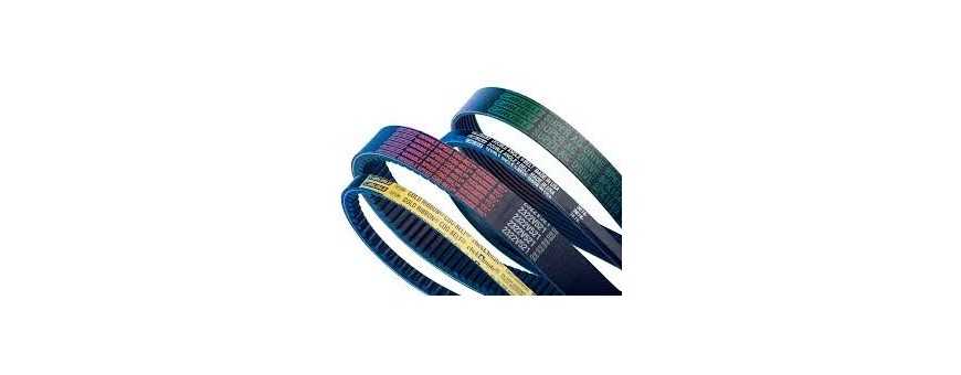 Industrial drive belts