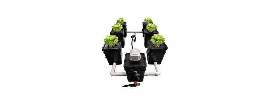 Hydroponic kits and systems
