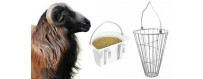 Equipment for breeding of goats and sheep