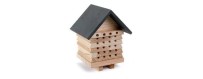 Strucks for solitary bees