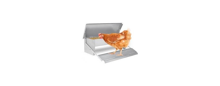 Poultry food distributors