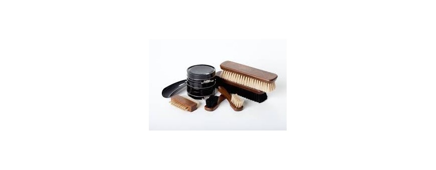 Shoes and maintenance accessories