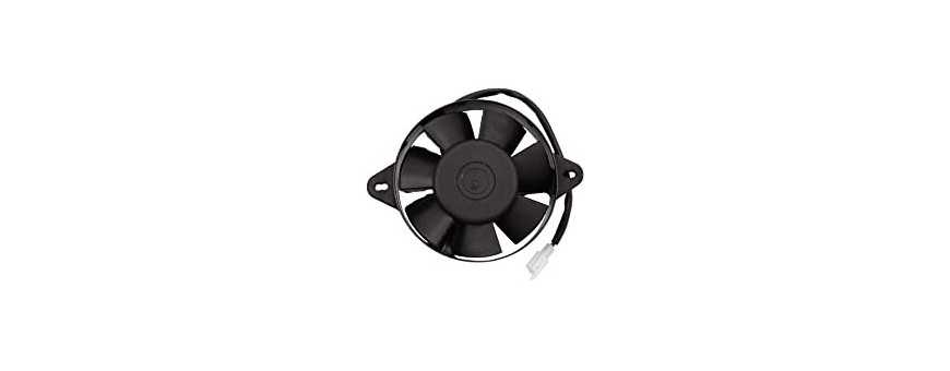 Motor fan