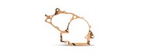 Crankcase gasket set