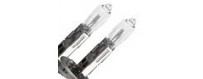 Fog light bulb