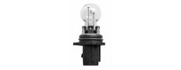 Bulb socket type