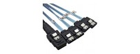 SAS cables