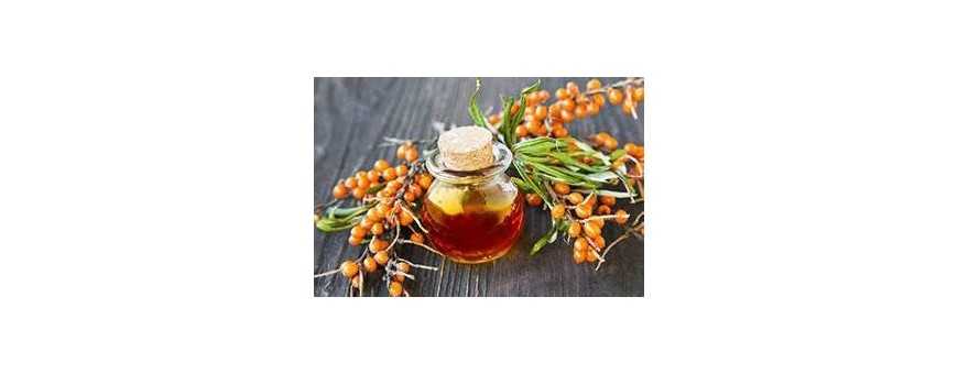 Canned Sea Buckthorn Berries
