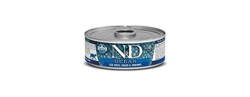 Canned sea bass