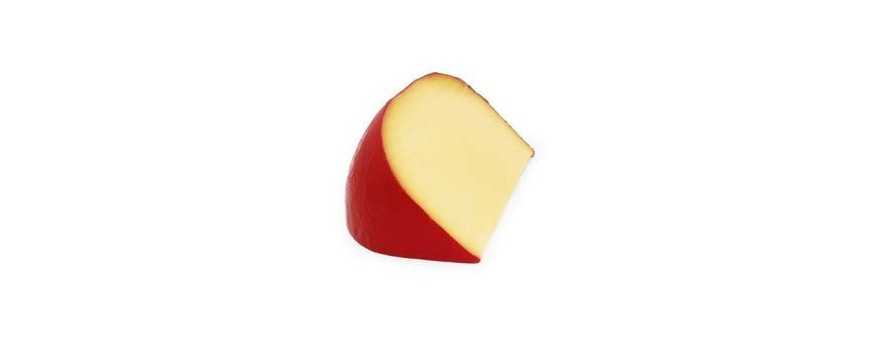 Fresh edam