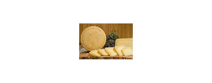 Pecorino cheese