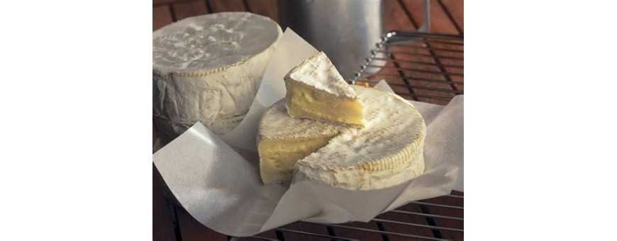 Soft cheeses