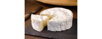 Camembert