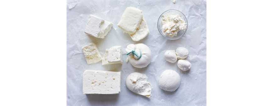 Fromages frais
