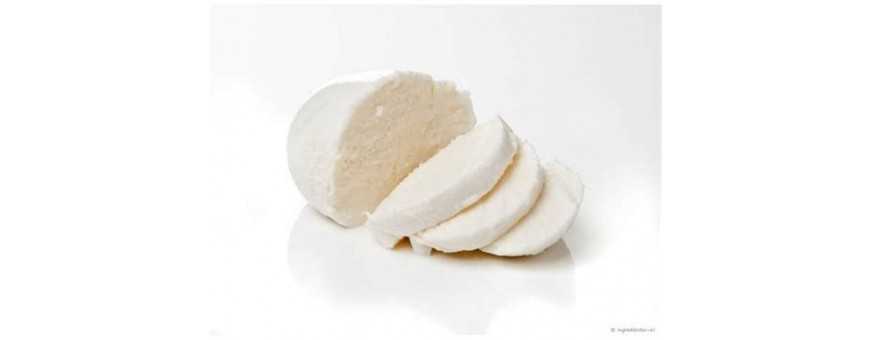 Mozzarella