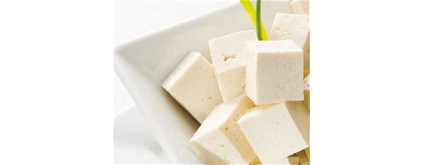 Paneer