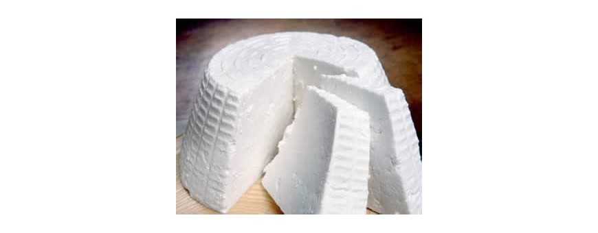 Ricotta