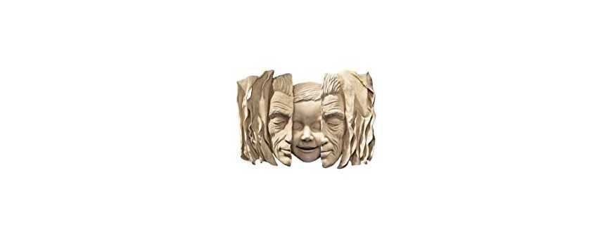 Decorative carved heads