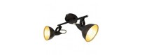 Ceiling spotlights