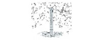 Confetti