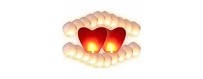 Sky lanterns