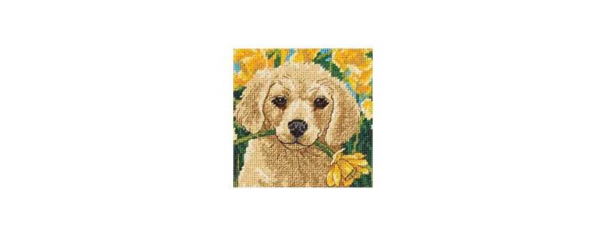 Needlepoint kits
