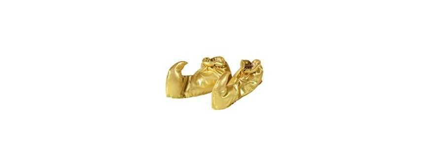 Adult costume shoes