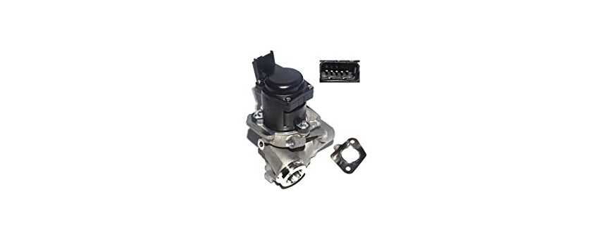 EGR valves