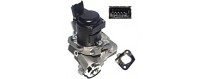 EGR valves