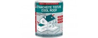 Roof coatings and paints