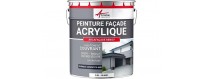 Building paints